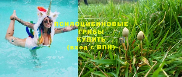 экстази Белокуриха