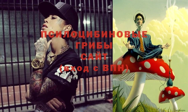 ГАЛЛЮЦИНОГЕННЫЕ ГРИБЫ Белоозёрский
