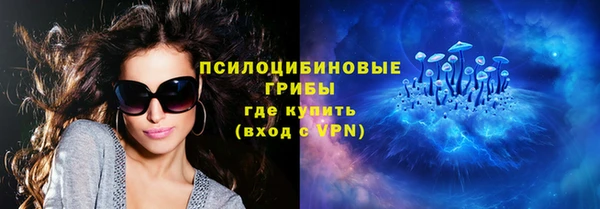 ГАЛЛЮЦИНОГЕННЫЕ ГРИБЫ Белоозёрский